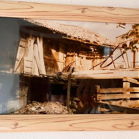 Ciasa Agb Appartement Moena Buitenkant foto